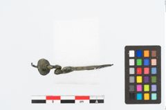 Foto von Bronzeschlangenfibel (NHMW-PRAE-026454)